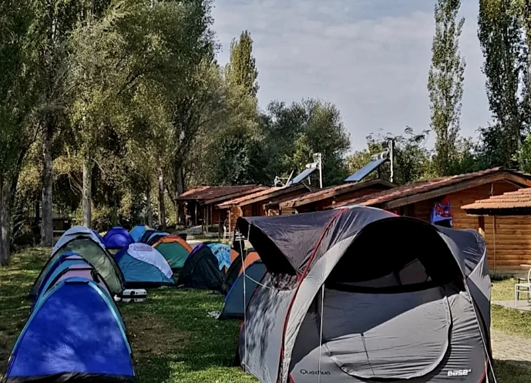 Tilki Avı Ve Kamp Etkinliği
